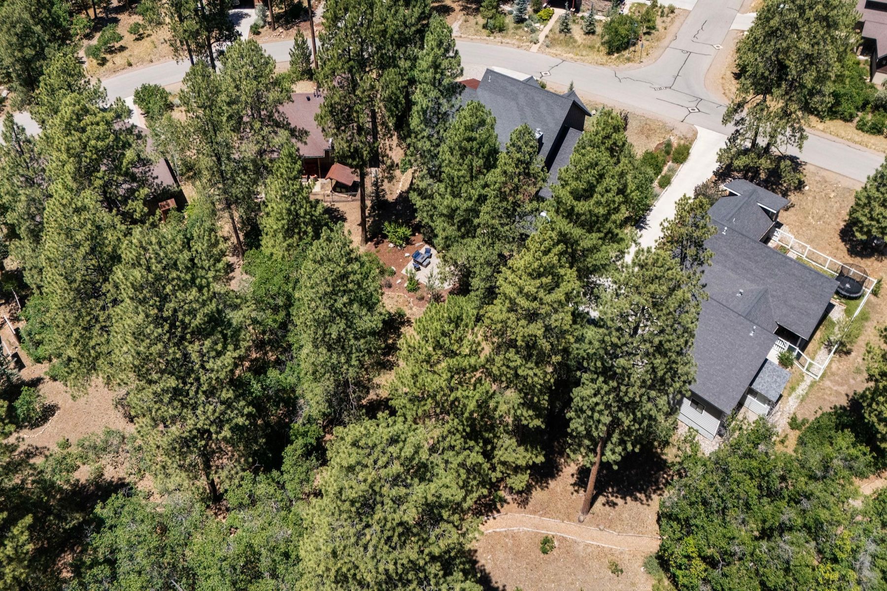  192 Needle Creek Trail, Durango, CO 81301 - 物件實景