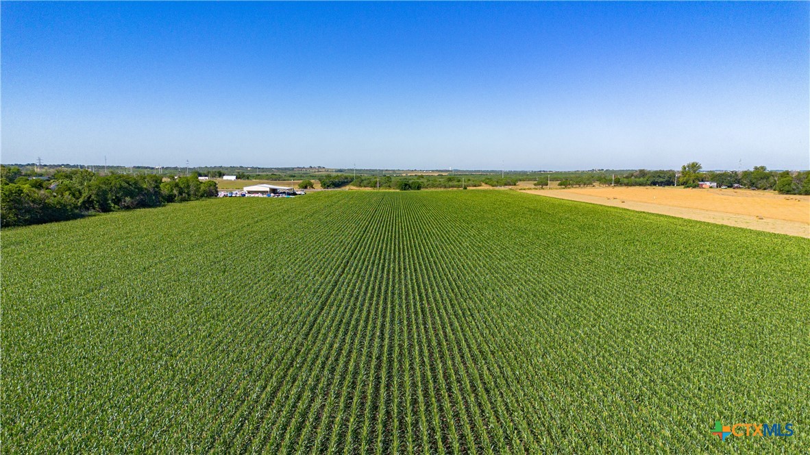 Mcqueeney, Texas, 78123, United States, ,Land,For Sale,2049339