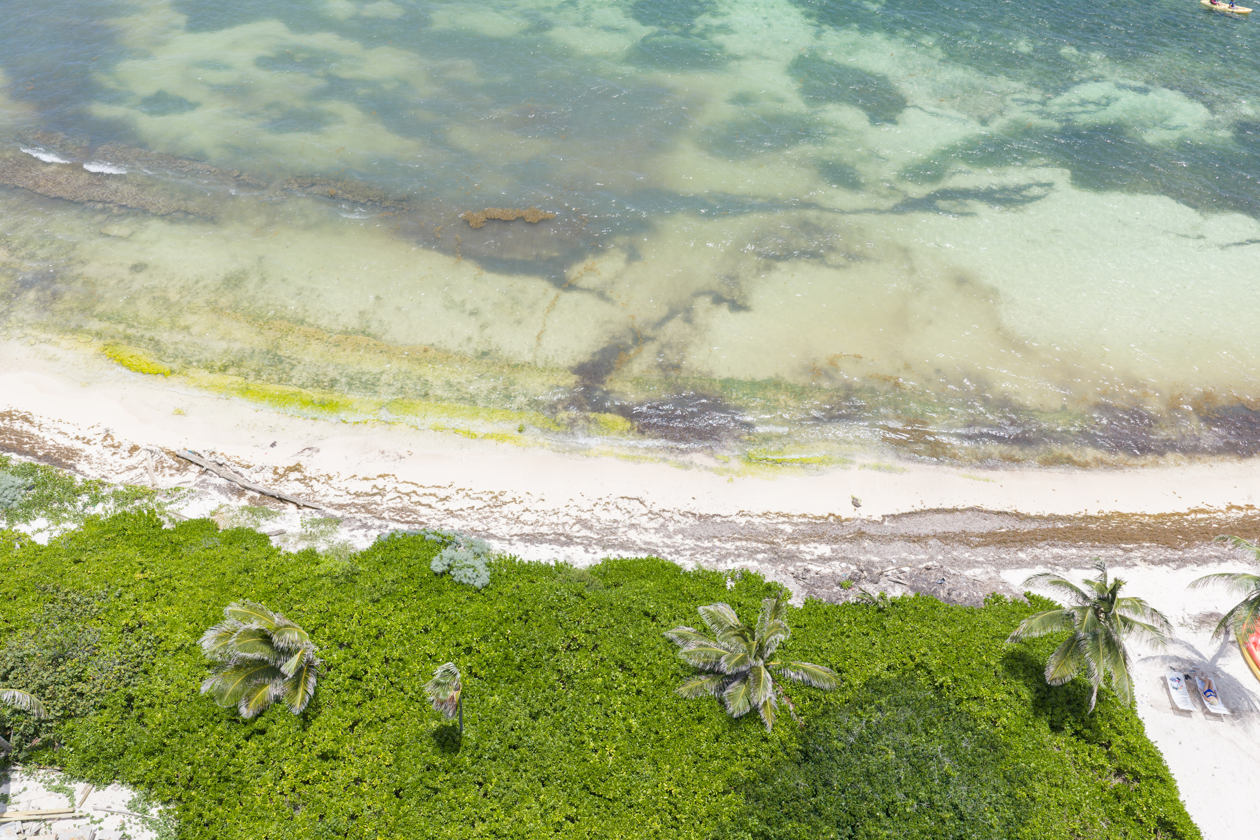  Rum Point Beach Front Lot - 物件實景