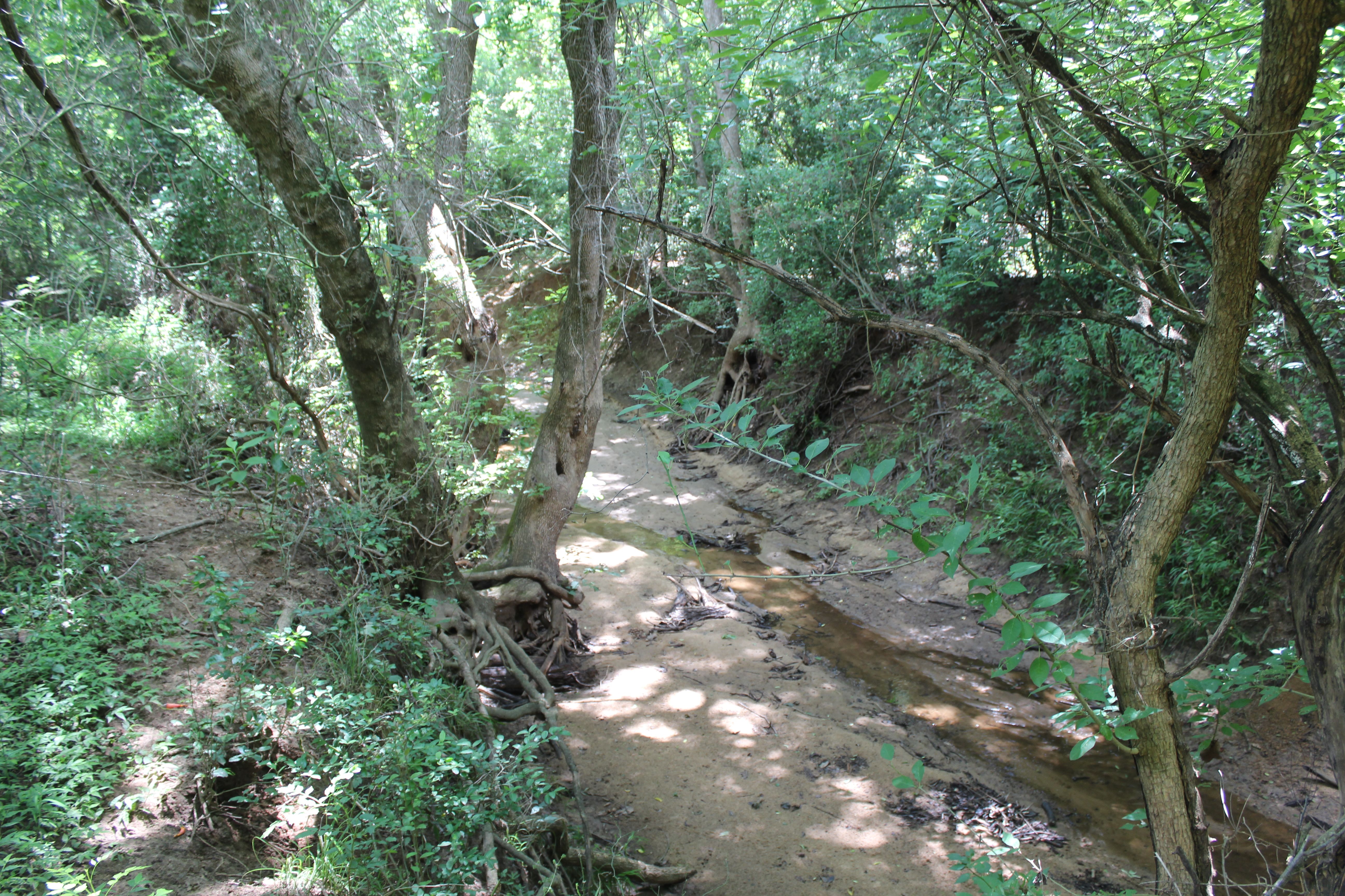  Buck Branch Ranch - 物件實景