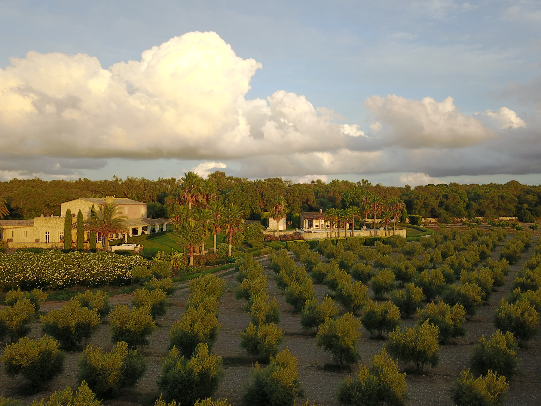  Authentic Majorcan estate with pool near Montuïri - 物件實景