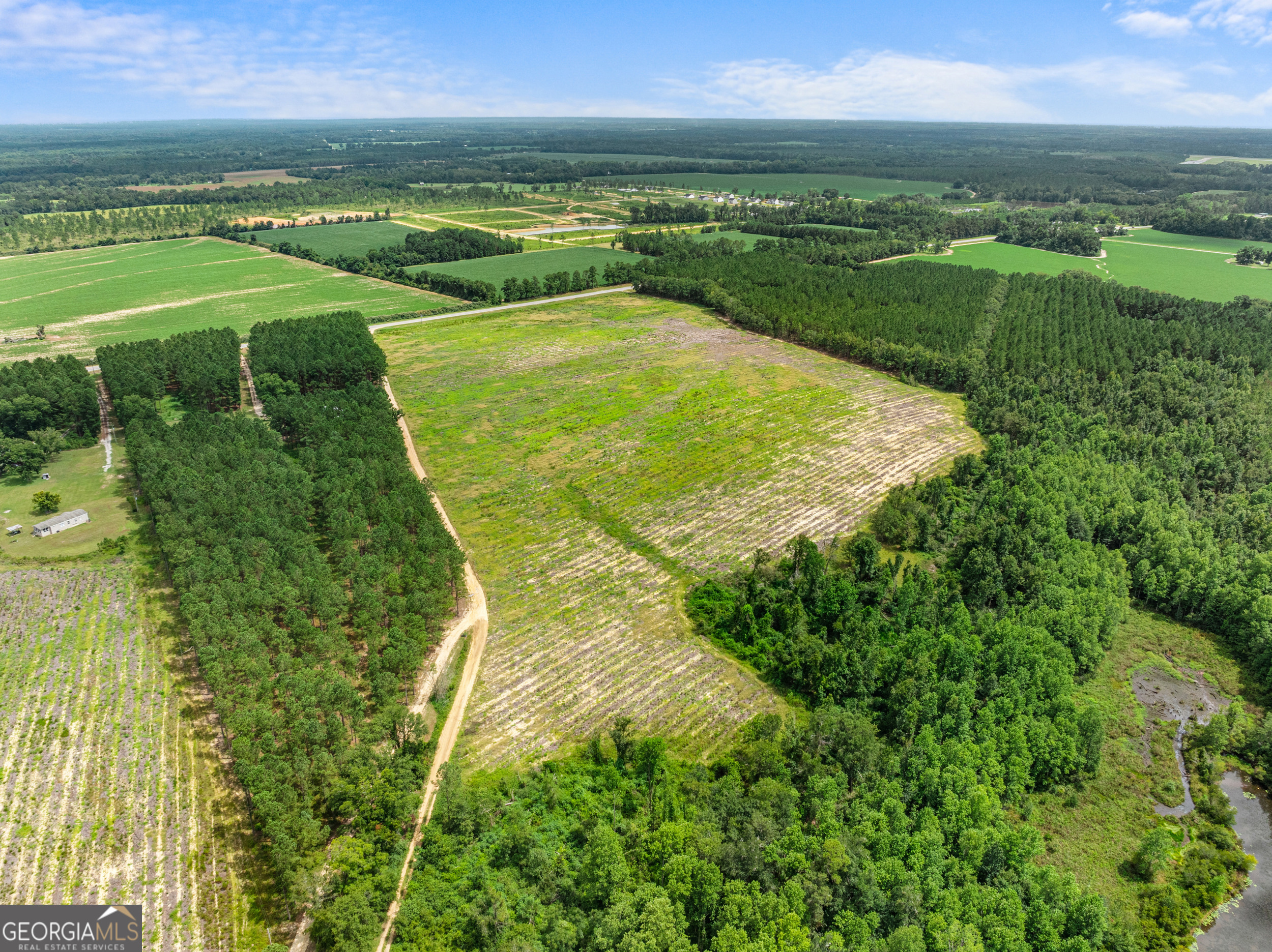 Statesboro, Georgia, 30458, United States, ,Land,For Sale,1911473