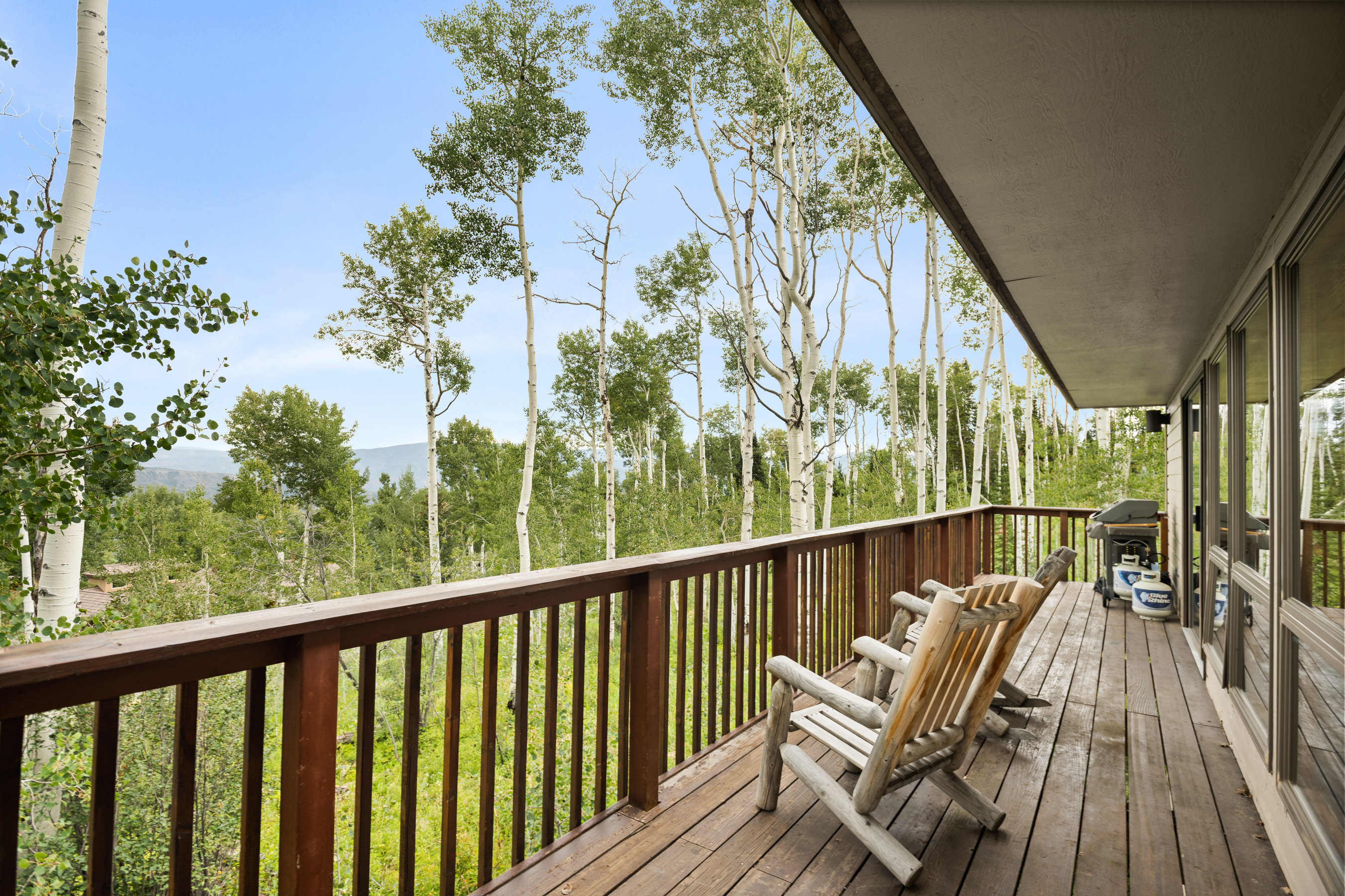  2055 Faraway Road, Snowmass Village, CO 81615 - 物件實景