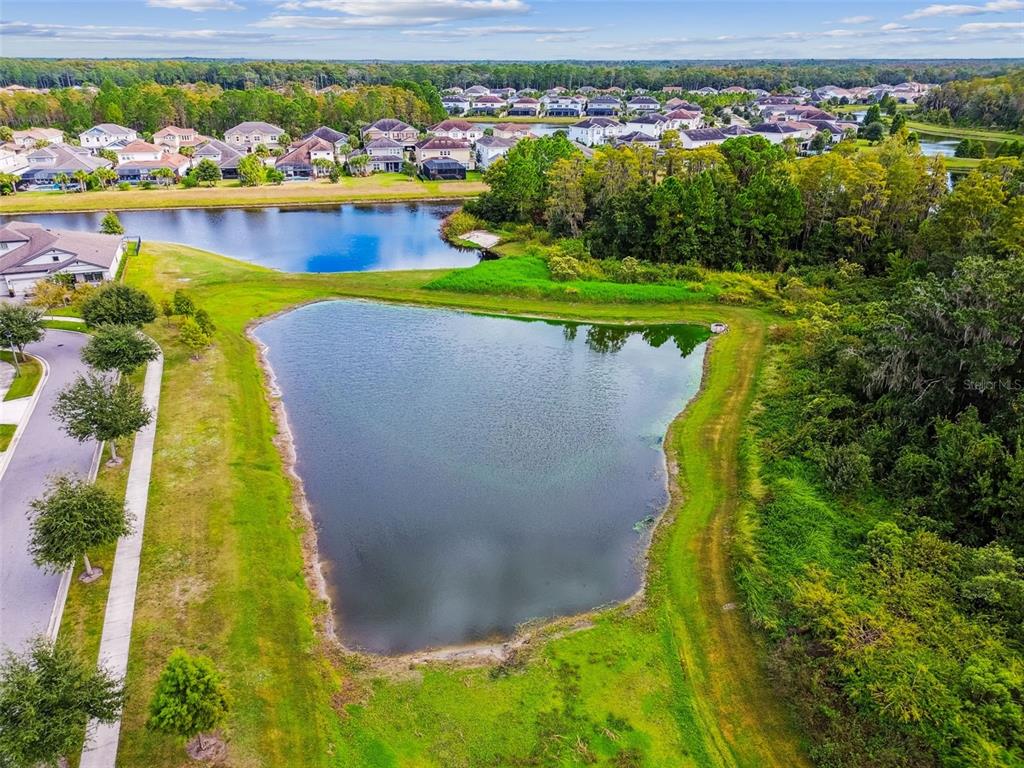 Odessa, Florida, 33556, United States, 4 Bedrooms Bedrooms, ,3 BathroomsBathrooms,Residential,For Sale,1982031