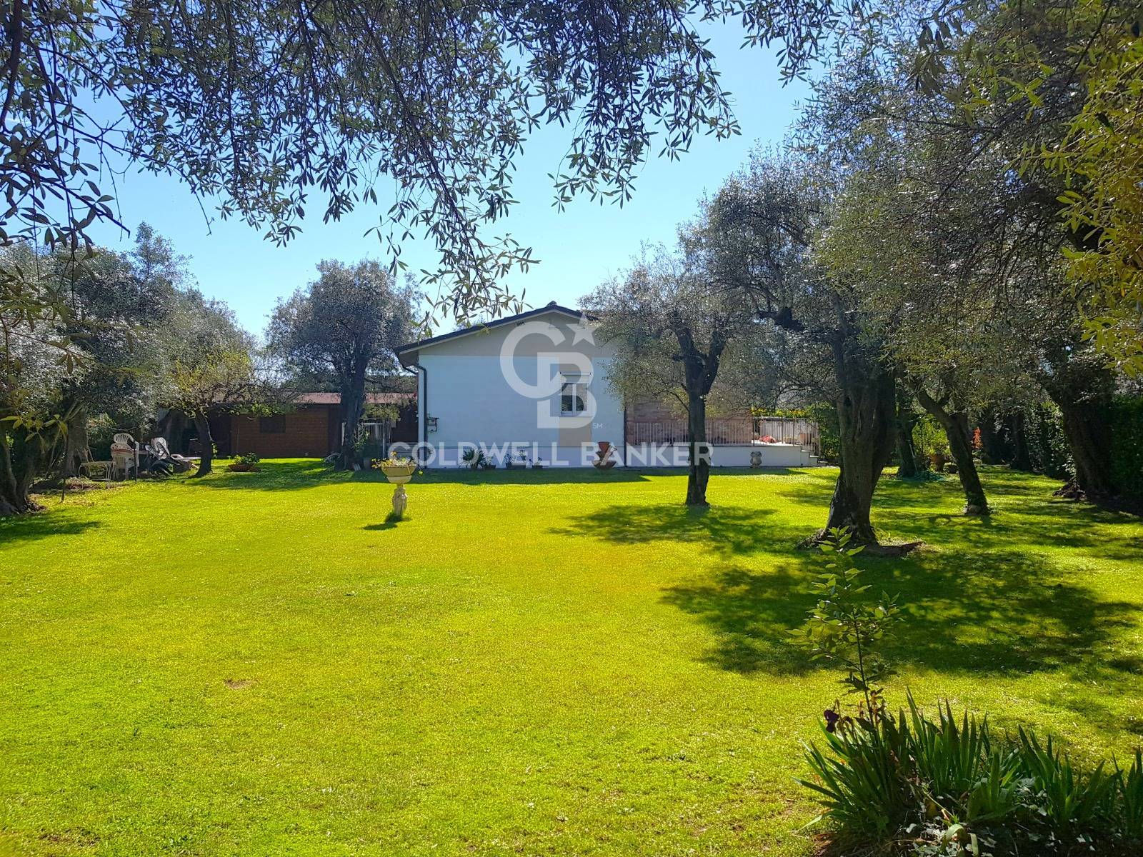 Forte dei Marmi, Lucca, 55042, IT, 3 Bedrooms Bedrooms, ,2 BathroomsBathrooms,Residential,For Sale,1729467