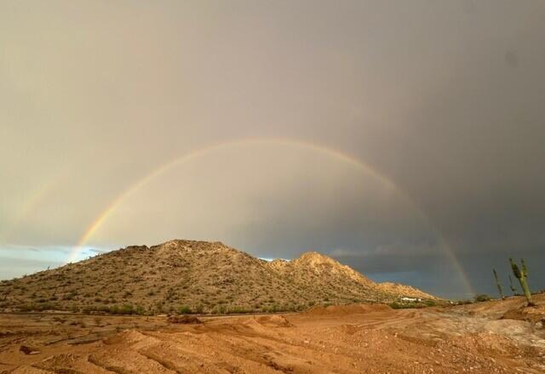  12608 N Sleeping Coyote Drive  Oro Valley, AZ - 物件實景