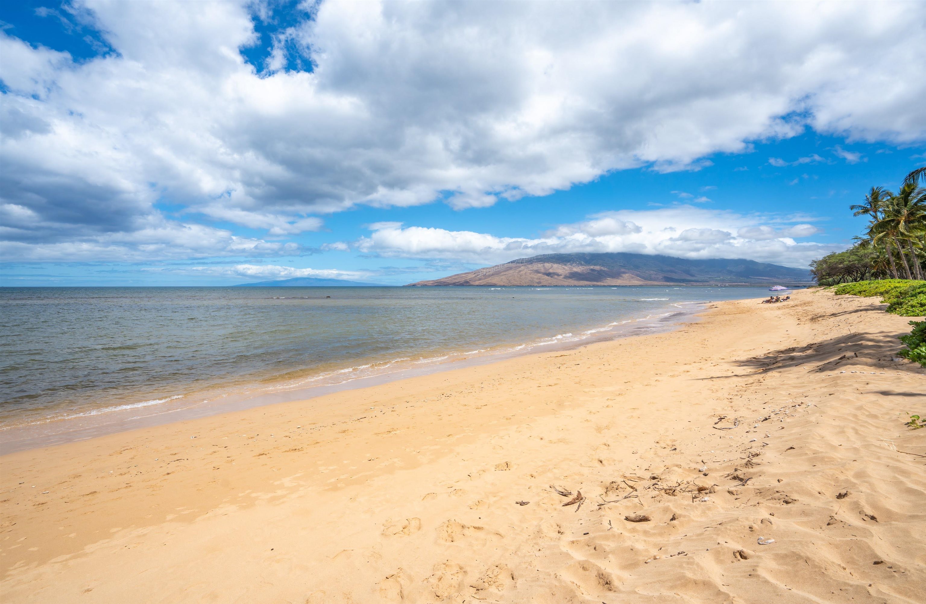Kihei, Hawaii, 96753, United States, 1 Bedroom Bedrooms, ,1 BathroomBathrooms,Residential,For Sale,1859885