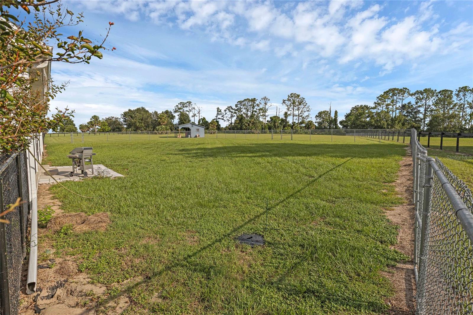 WEIRSDALE, Florida, 32195, United States, 5 Bedrooms Bedrooms, ,3 BathroomsBathrooms,Residential,For Sale,1979385