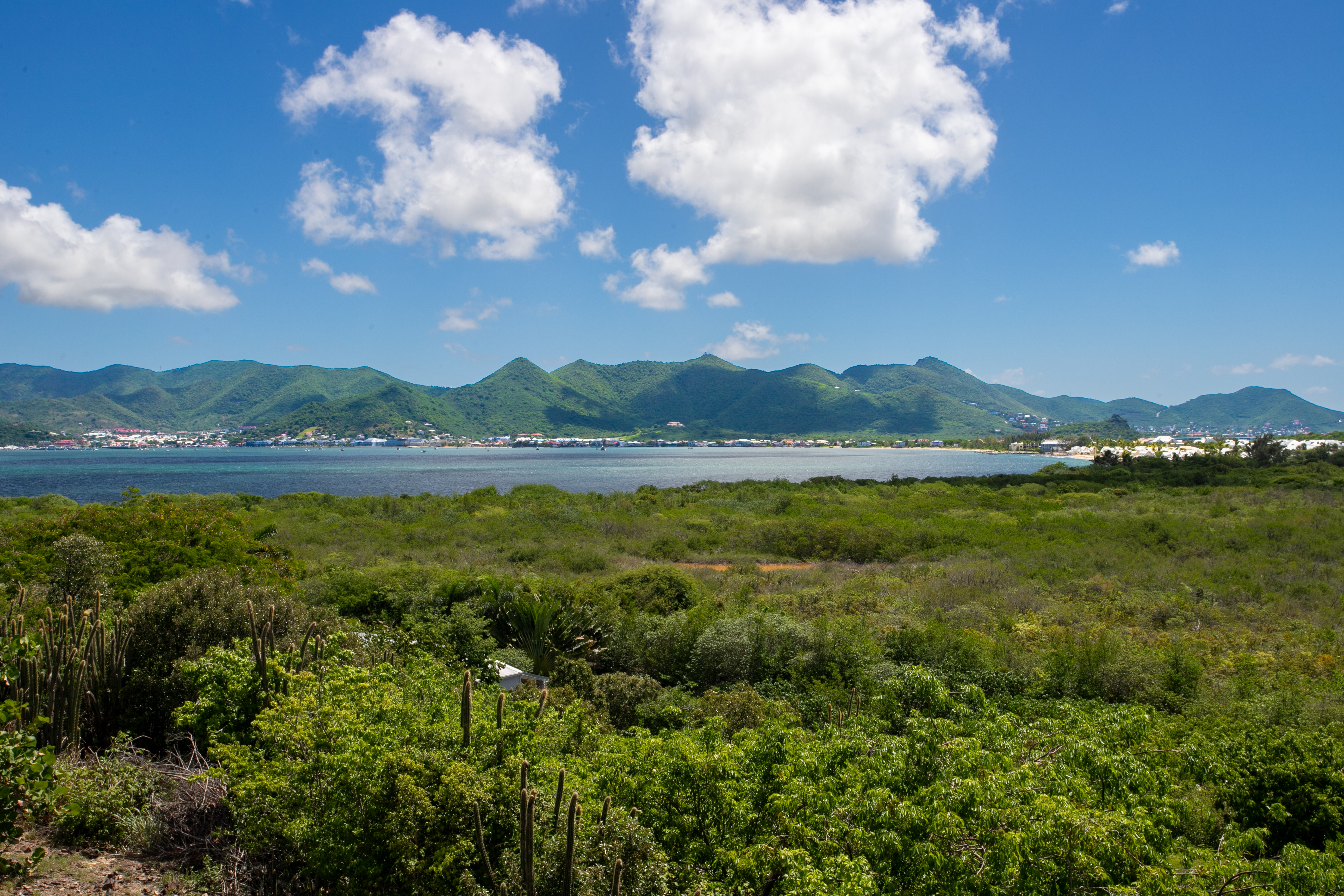  3 Bedroom Ocean View Villa Near Baie Rouge Beach - 物件實景