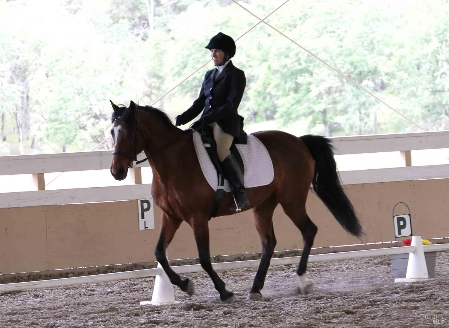 Kelseyville, California, 95451, United States, 3 Bedrooms Bedrooms, ,2 BathroomsBathrooms,Residential,For Sale,1974568