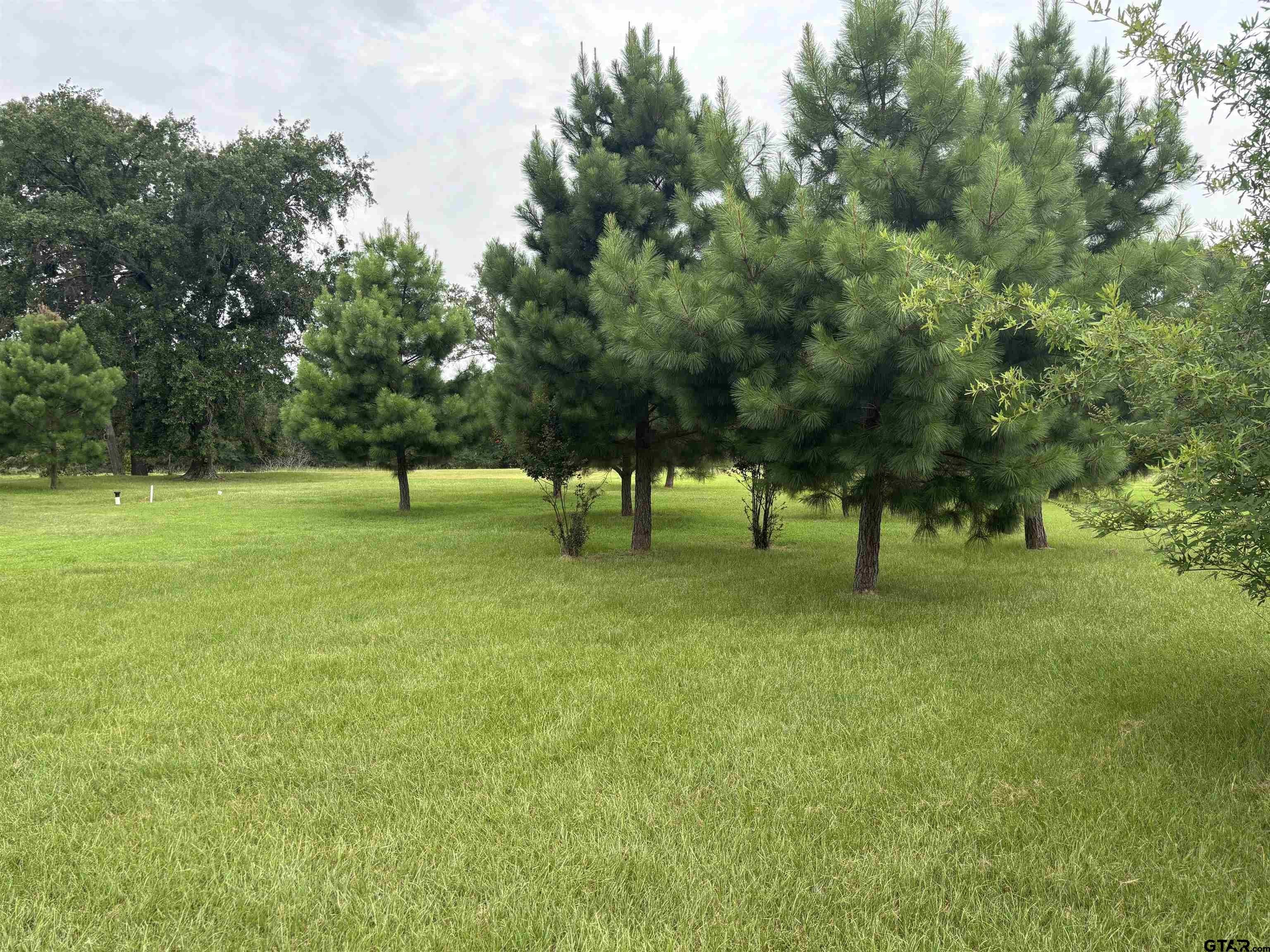 Pittsburg, Texas, 75686, United States, 3 Bedrooms Bedrooms, ,2 BathroomsBathrooms,Residential,For Sale,1980998