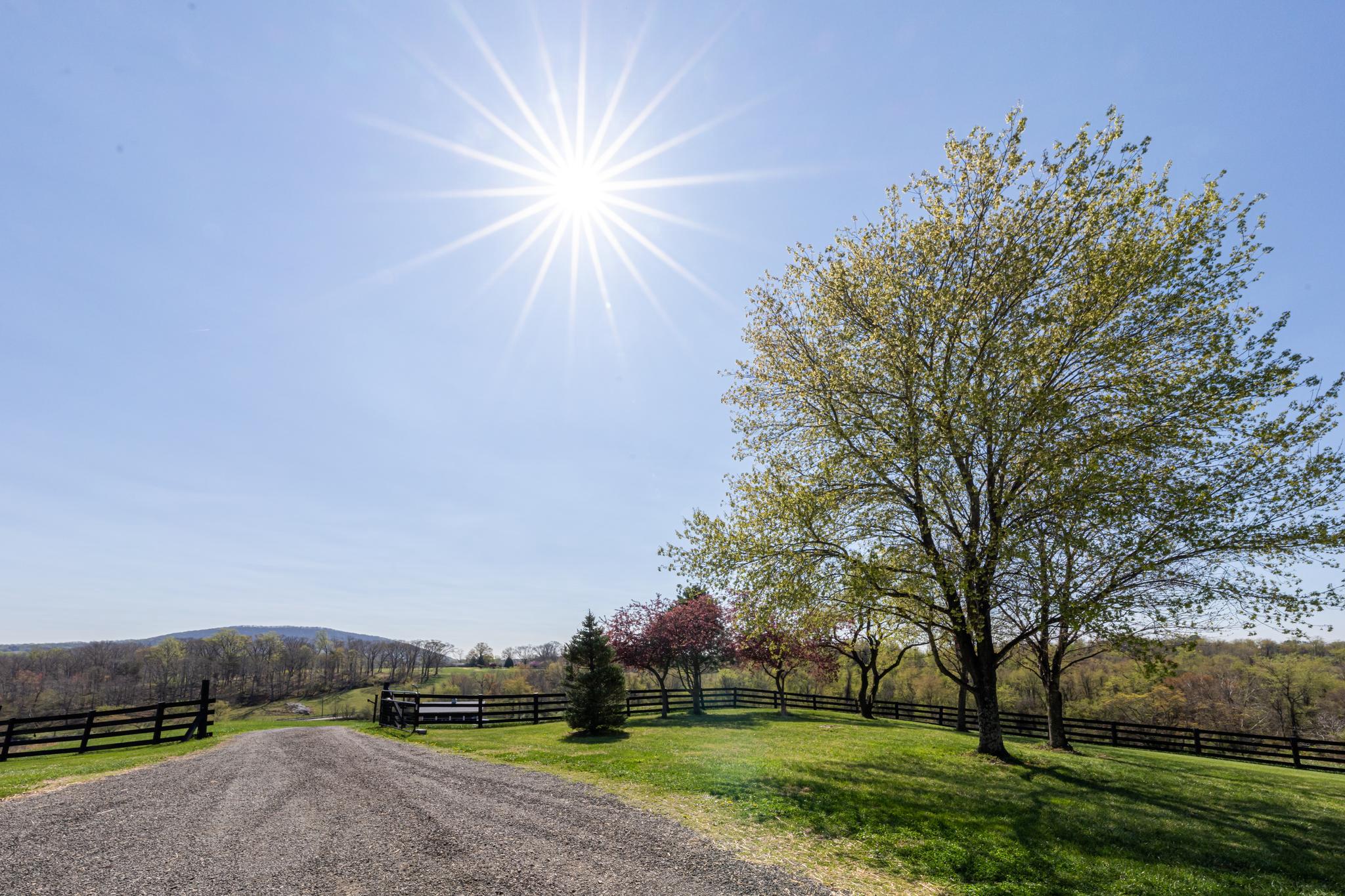  11597 Leeds Chapel Lane, Markham, VA, 22643 - 物件實景