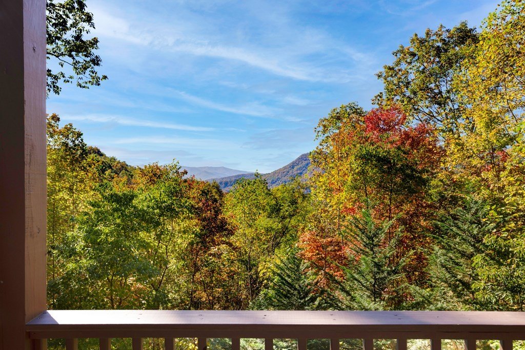 Hiawassee, Georgia, 30546, United States, 4 Bedrooms Bedrooms, ,5 BathroomsBathrooms,Residential,For Sale,1880672