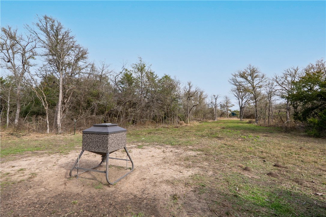 Thornton, Texas, 76687, United States, ,Land,For Sale,2003074