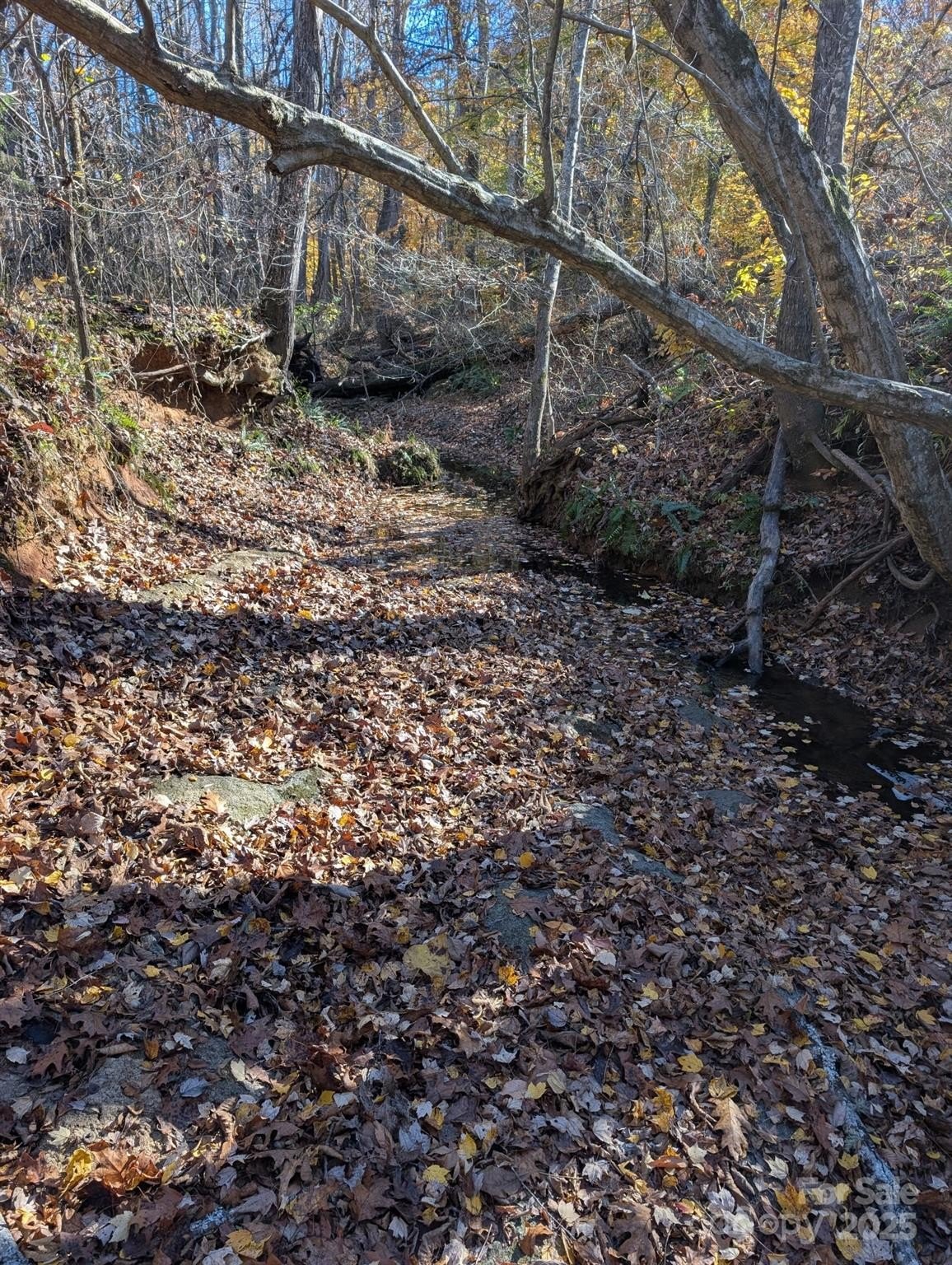 Salisbury, North Carolina, 28147, United States, ,Land,For Sale,1996519