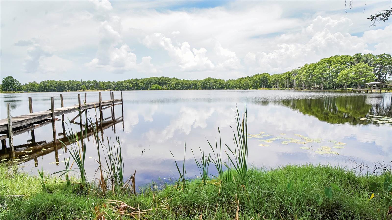 LAND O LAKES, Florida, 34638, United States, 3 Bedrooms Bedrooms, ,1 BathroomBathrooms,Residential,For Sale,1829291