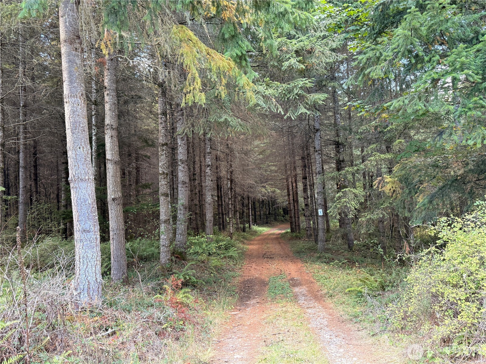 Rainier, Washington, 98576, United States, ,Land,For Sale,1998419