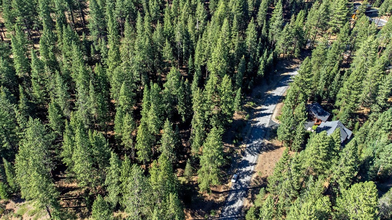 Truckee, California, 96161, United States, ,Land,For Sale,1818006
