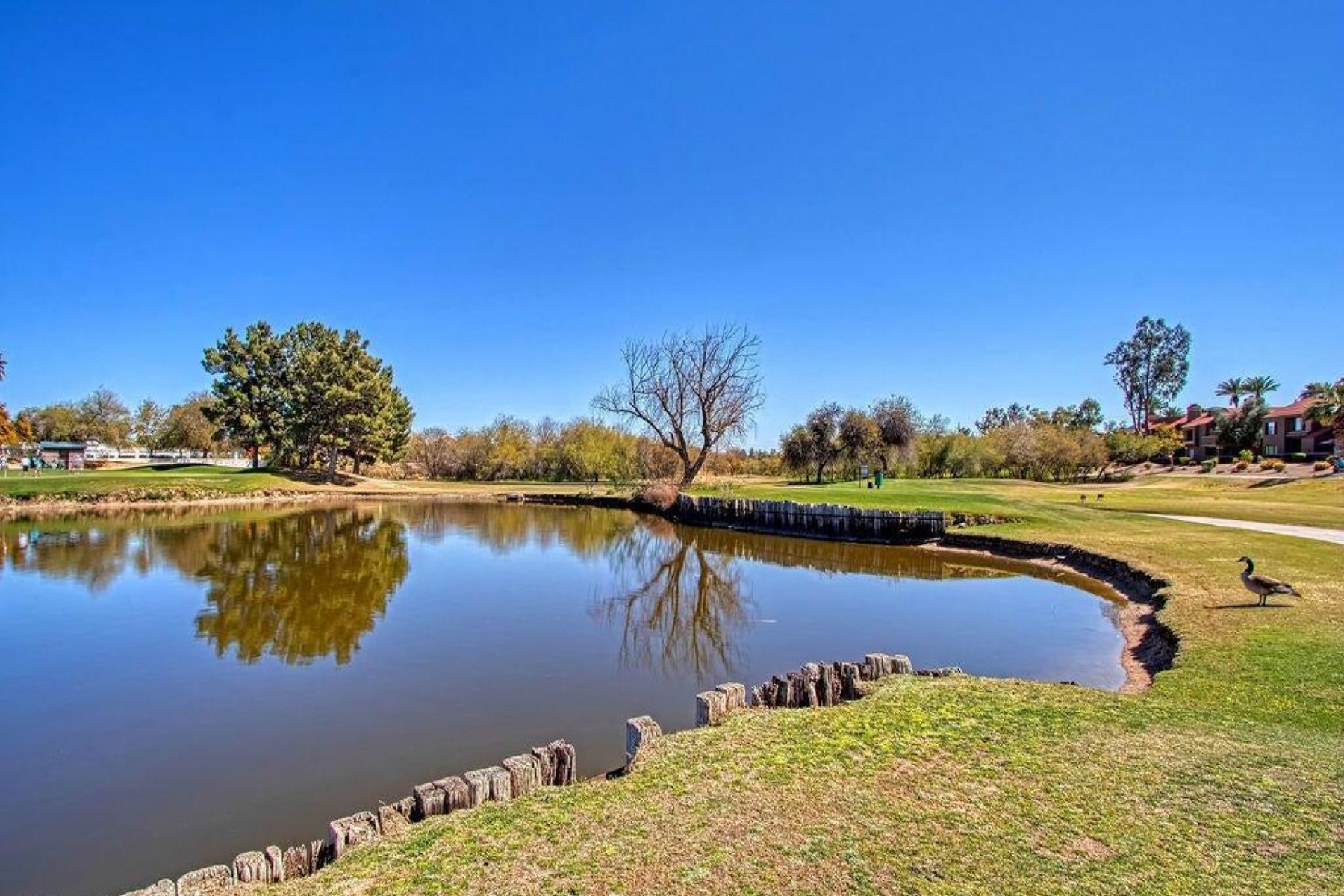  4850 E Desert Cove Avenue¦Scottsdale, AZ - 物件實景