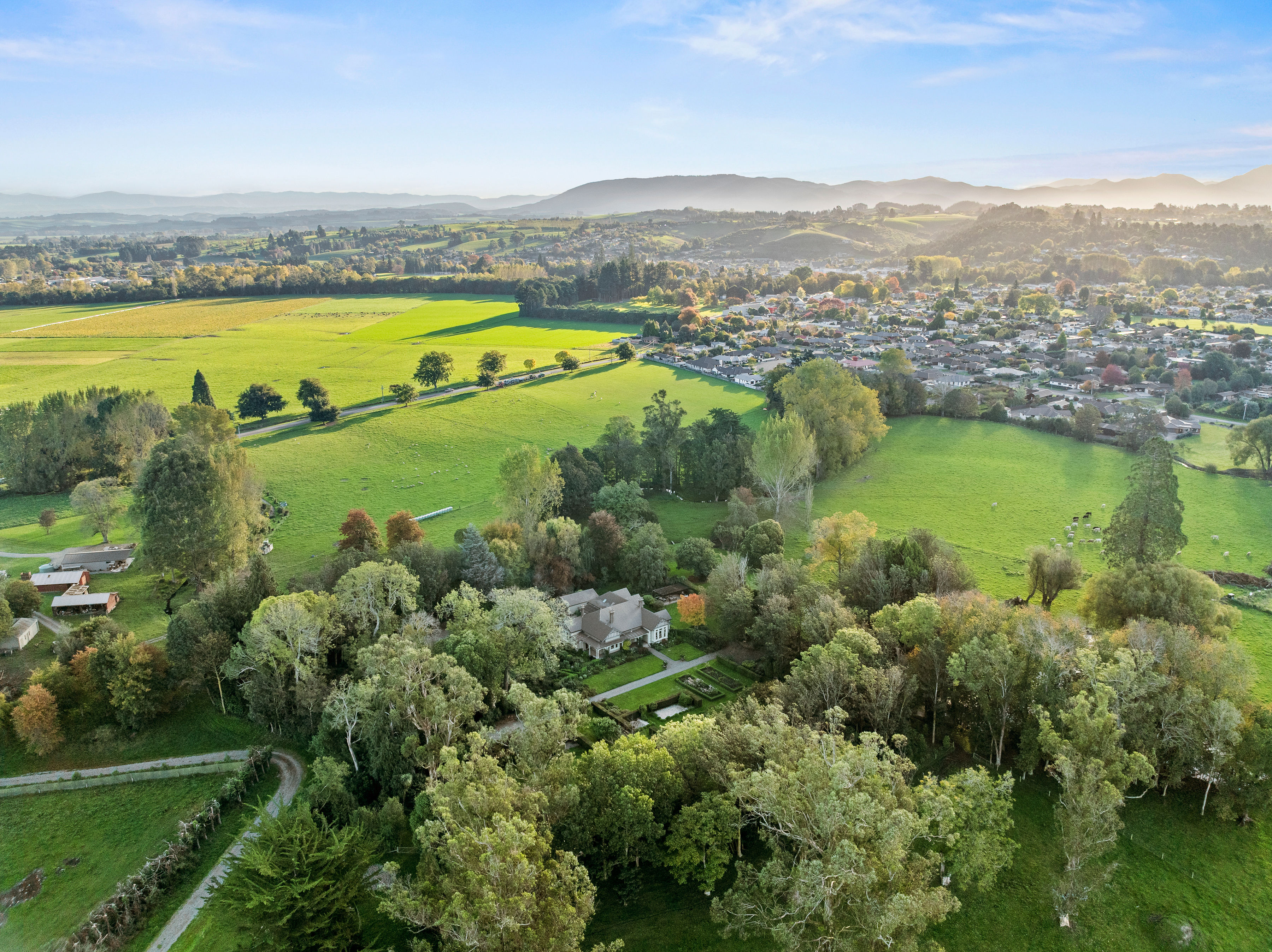  Landmark Homestead rezoned with substantial landbank - 物件實景
