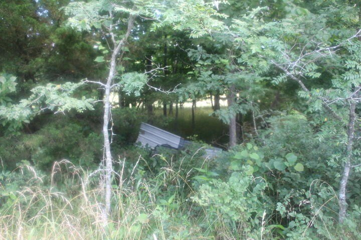 Polk, Missouri, 65727, United States, ,Land,For Sale,1980569