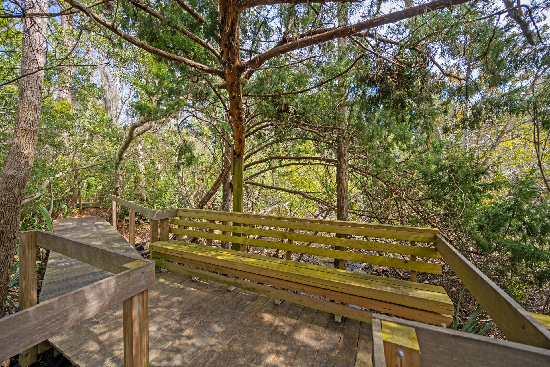  231 Watson Way  Pawleys Island, SC - 物件實景