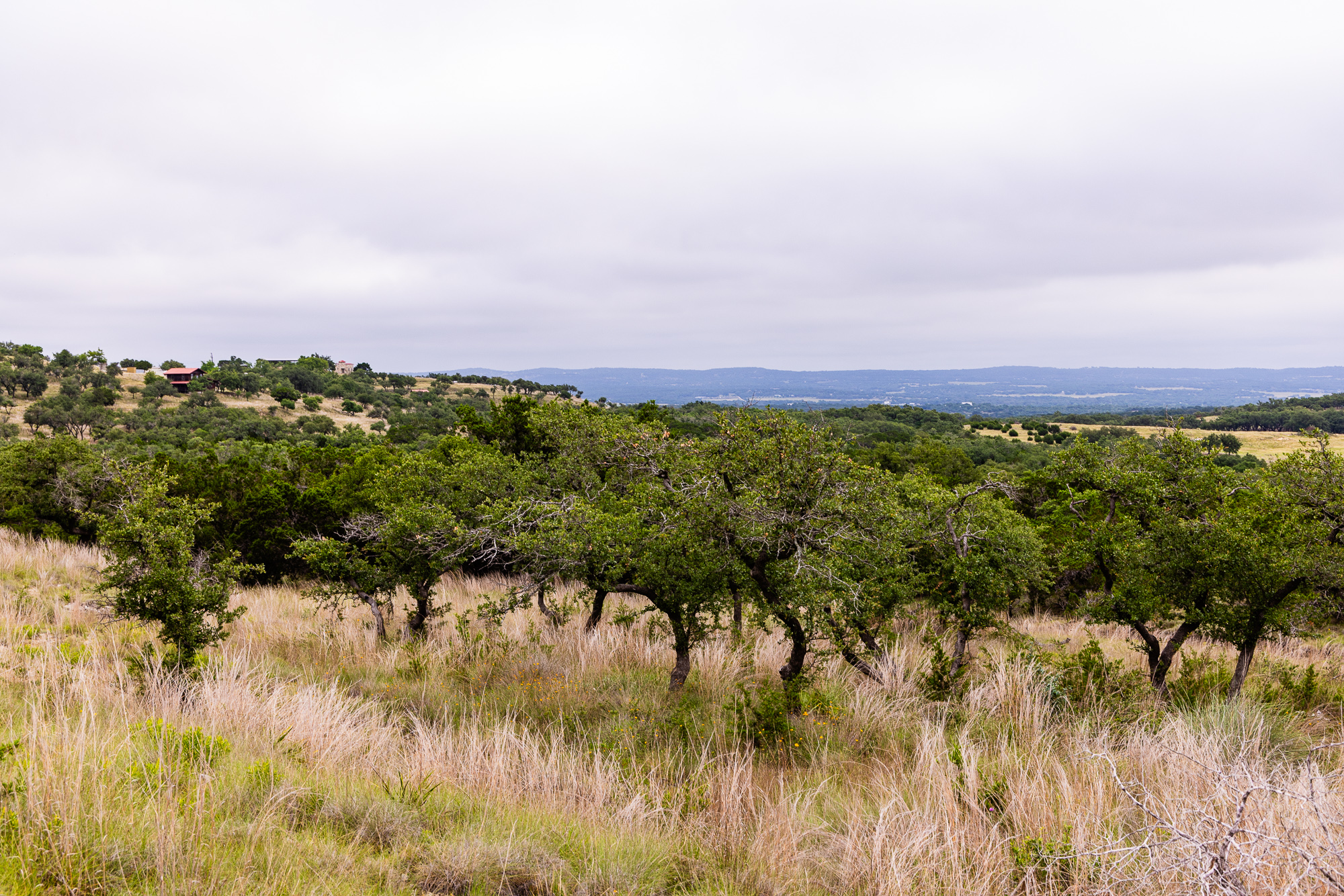  Expansive 10-Acre Lot - 物件實景