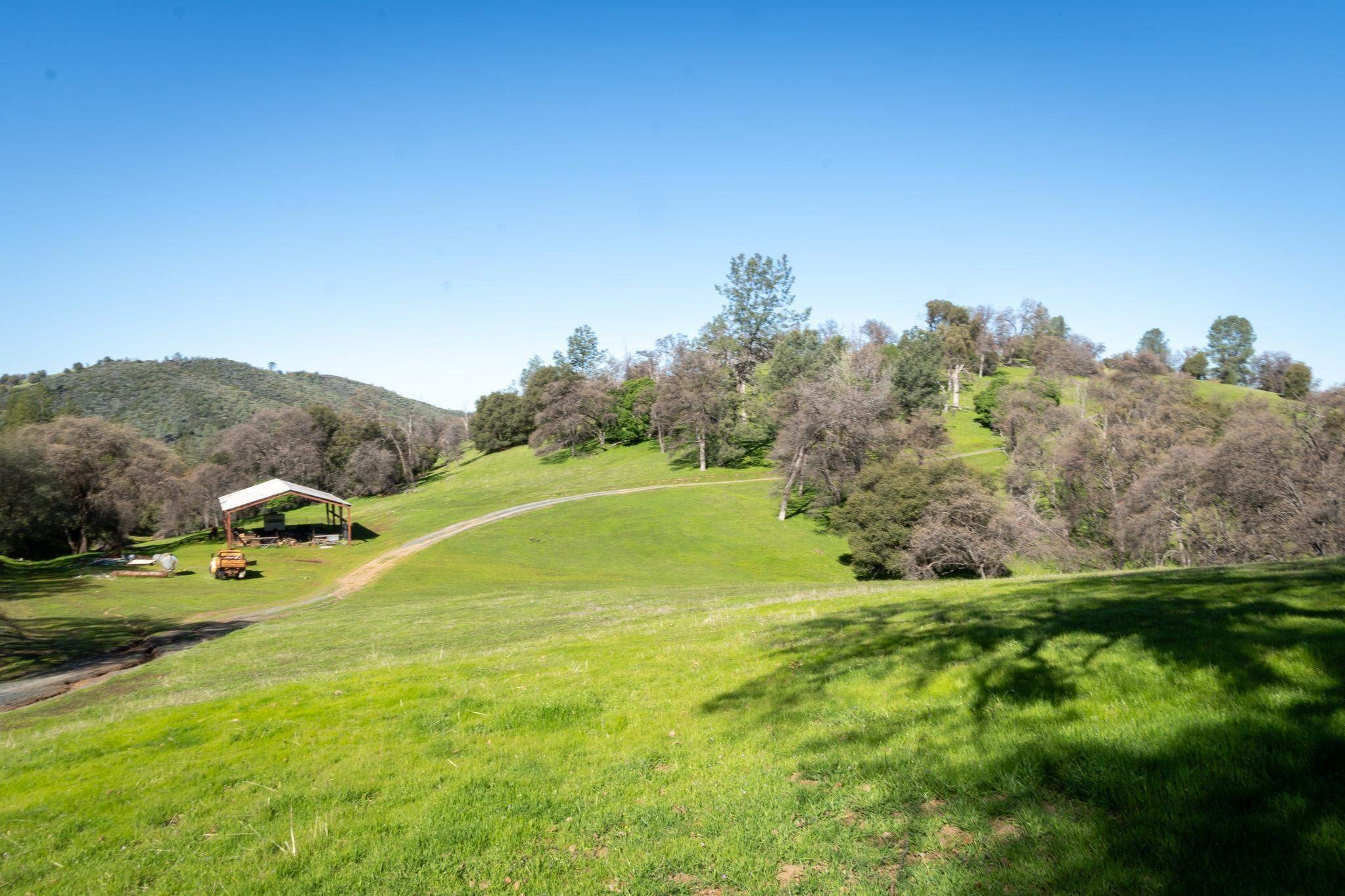 16551 Wards Ferry Rd, Big Oak Flat, California, 95305, United States, ,Land,For Sale,16551 Wards Ferry Rd,1554958