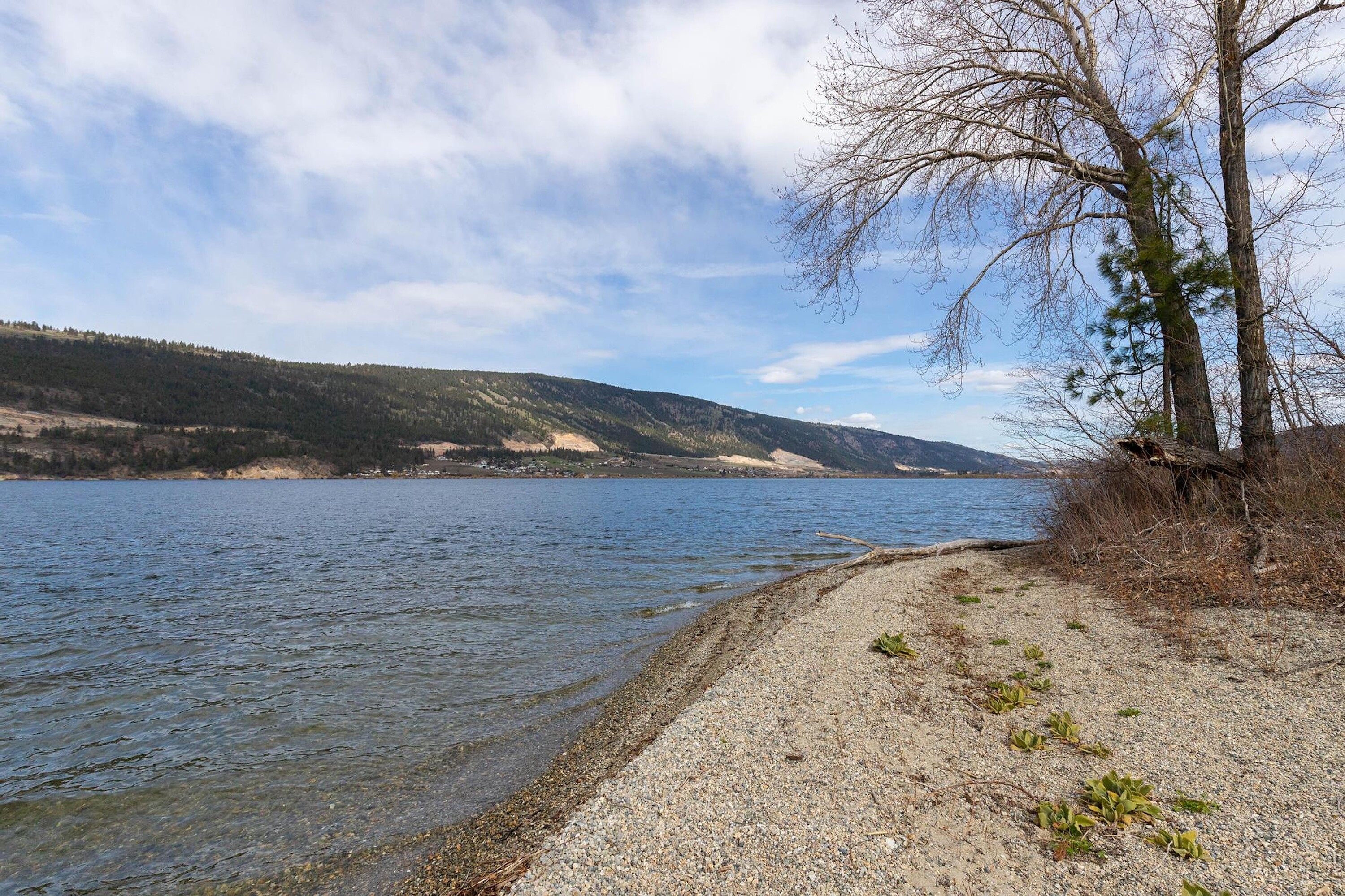  Lakeshore Parcel in Oyama - 物件實景