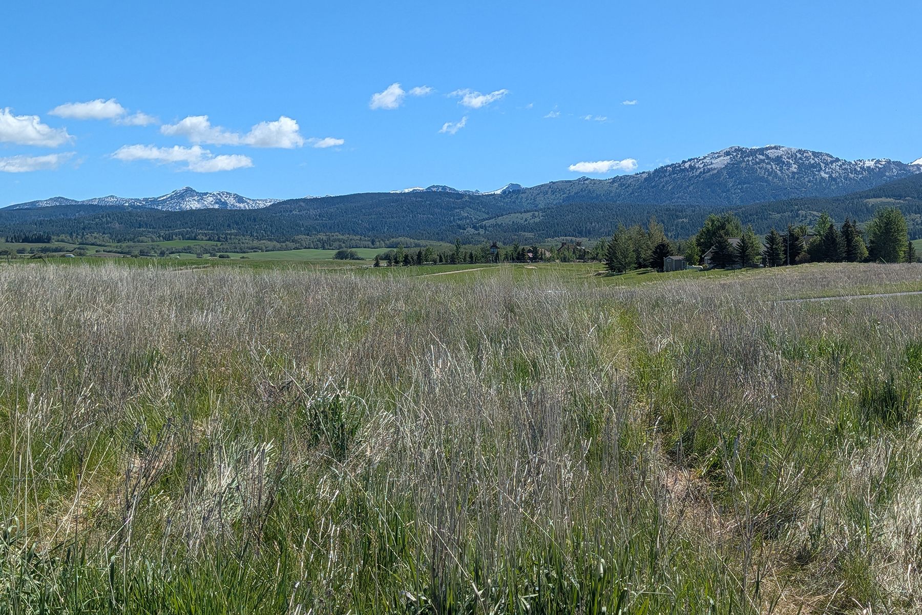  Snow Crest Ranch Drive - 物件實景