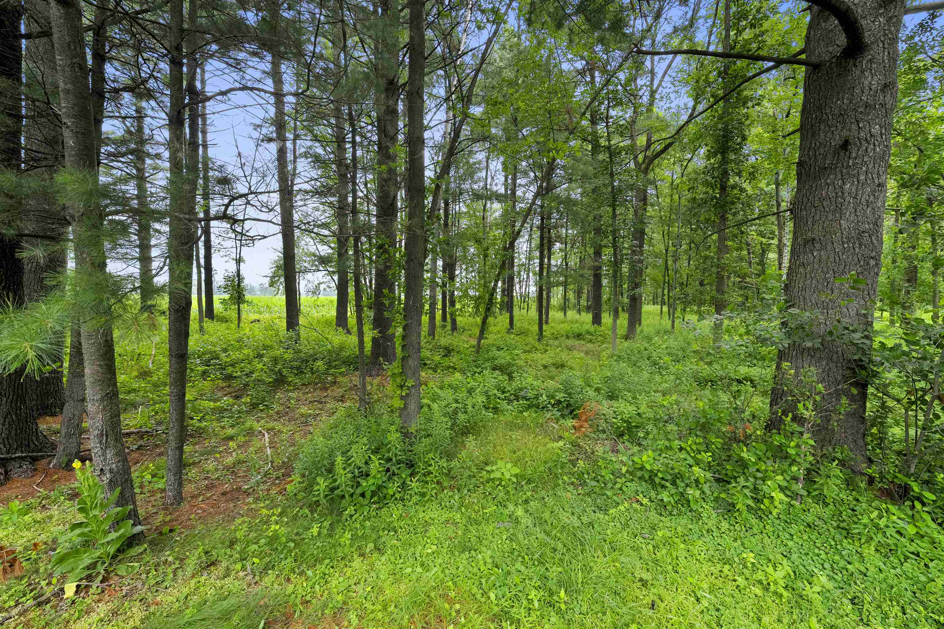 SUAMICO, Wisconsin, 54173, United States, 3 Bedrooms Bedrooms, ,4 BathroomsBathrooms,Residential,For Sale,1911099