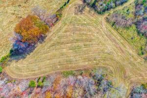 Fincastle, Virginia, 24090, United States, ,Residential,For Sale,1989448