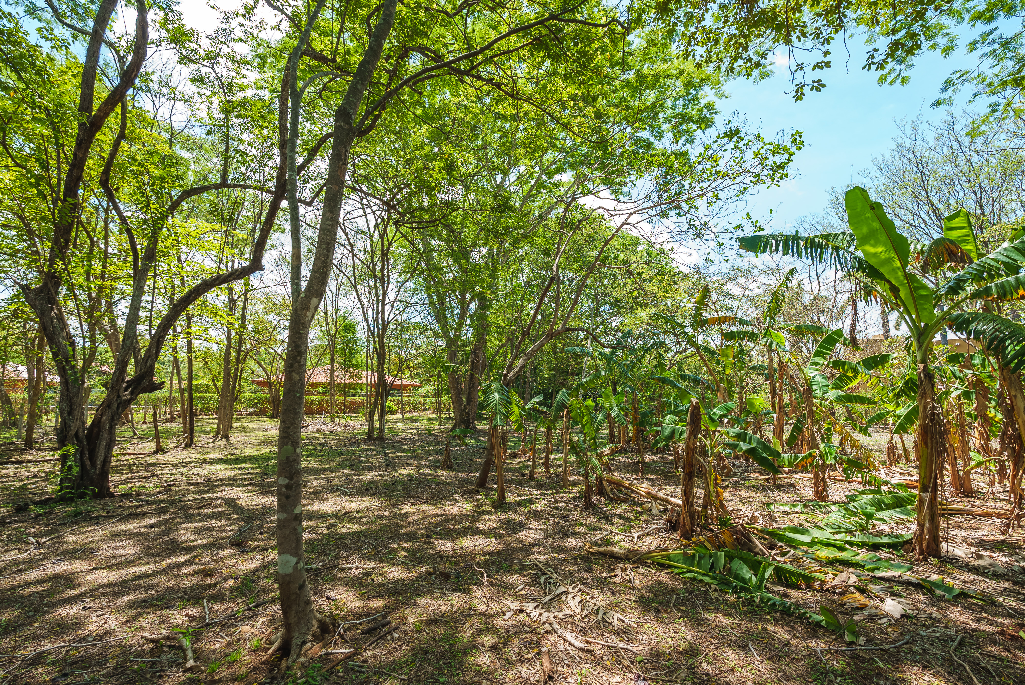 Calle Las Ventanas, Playa Junquillal, Guanacaste C, Junquillal, Guanacaste, CR, 2 Bedrooms Bedrooms, ,2 BathroomsBathrooms,Residential,For Sale,Calle Las Ventanas, Playa Junquillal, Guanacaste C,1613918