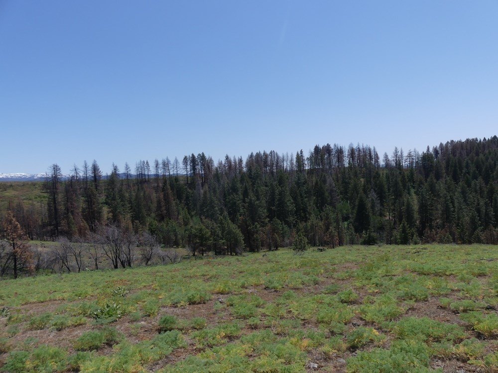 Indian Valley, Idaho, 83682, United States, ,Land,For Sale,1976667