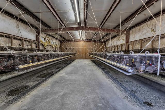 Ranchita, California, 92066, United States, 3 Bedrooms Bedrooms, ,2 BathroomsBathrooms,Residential,For Sale,2025021