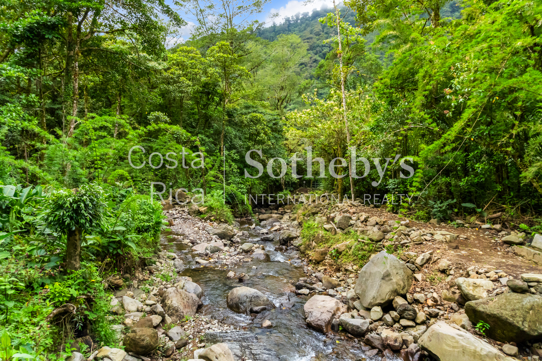  Centro Científico para la Conservación Bosque de Paz - 物件實景