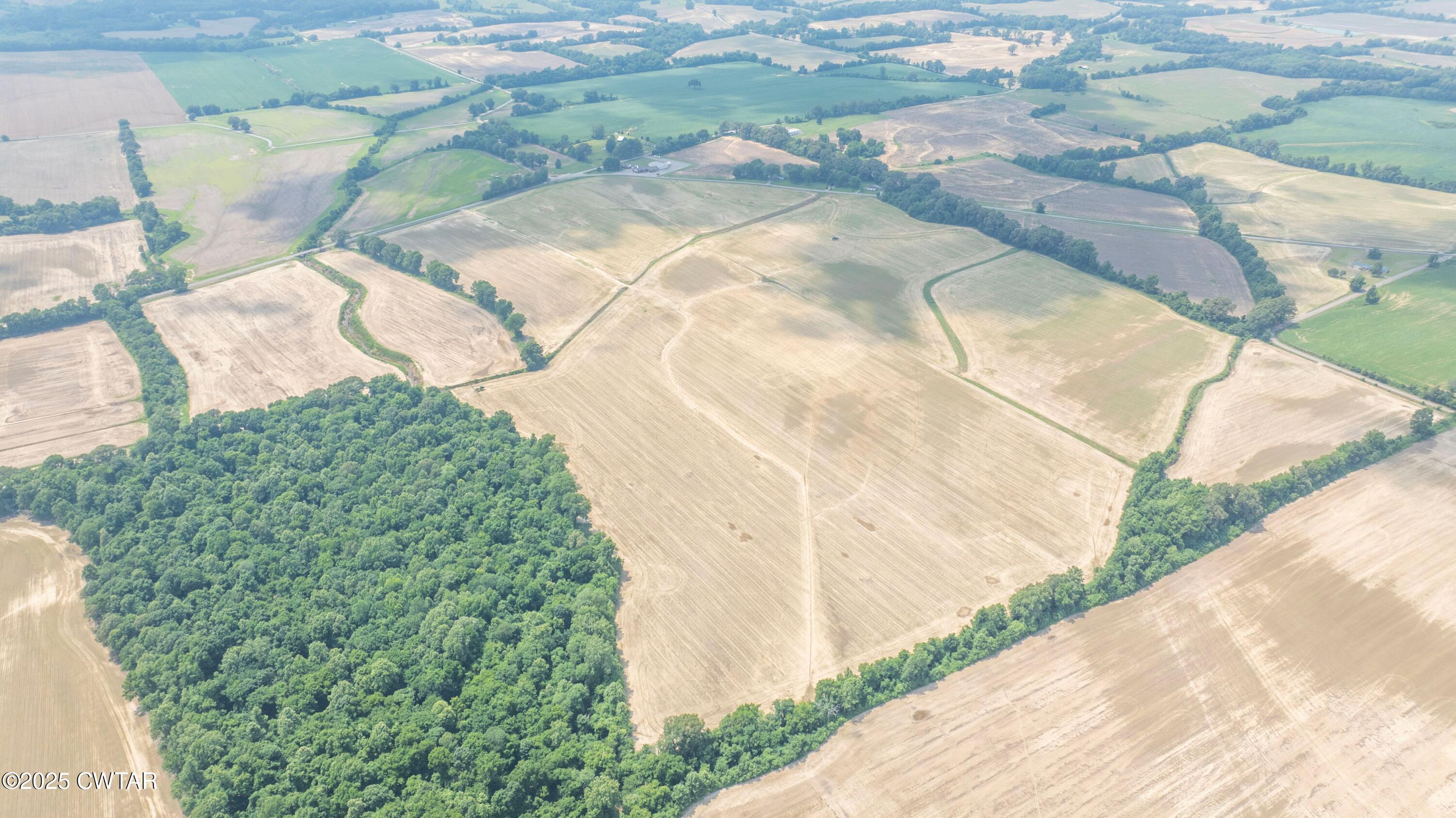 Brownsville, Tennessee, 38012, United States, ,Land,For Sale,1894804