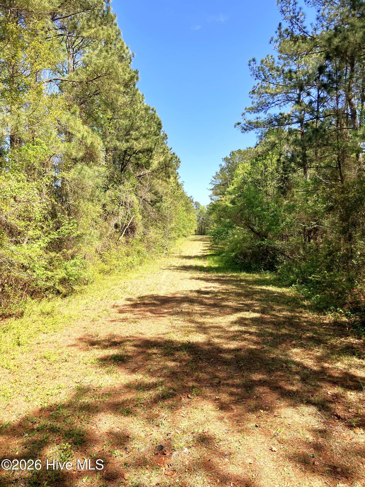 Havelock, North Carolina, 28532, United States, ,Land,For Sale,2035348