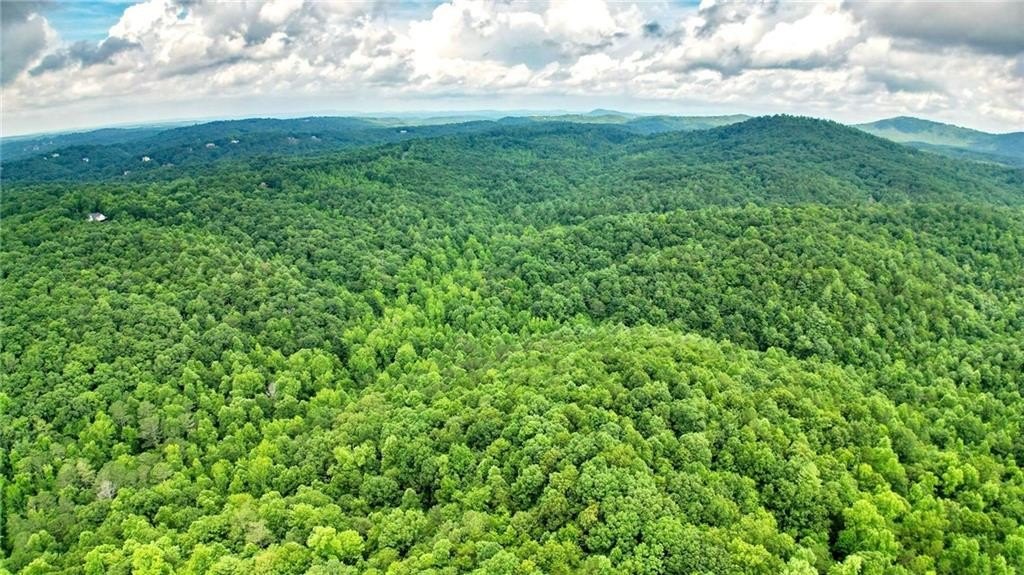 Jasper, Georgia, 30143, United States, ,Land,For Sale,1976881