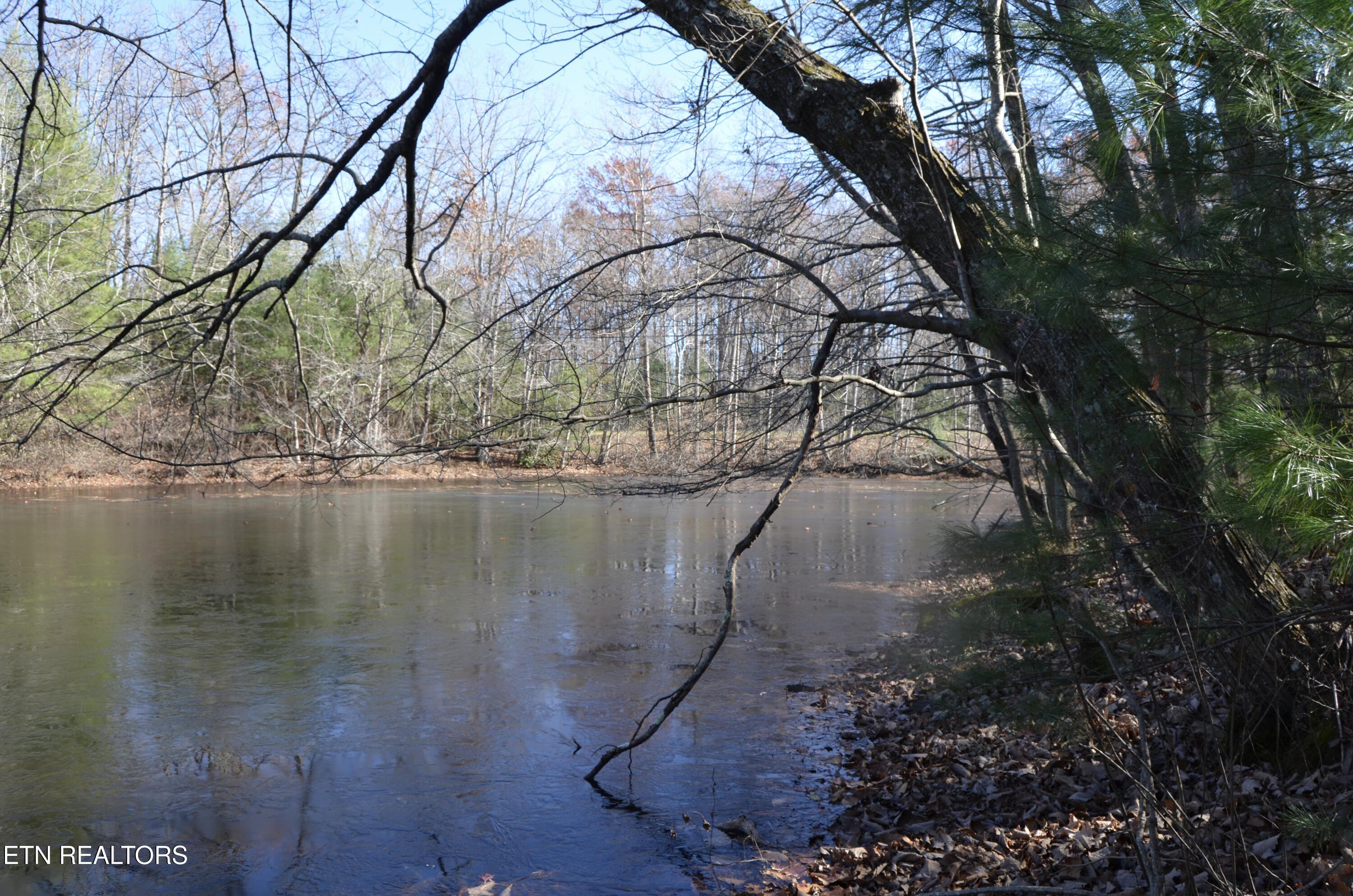 Crossville, Tennessee, 38555, United States, ,Land,For Sale,1978266