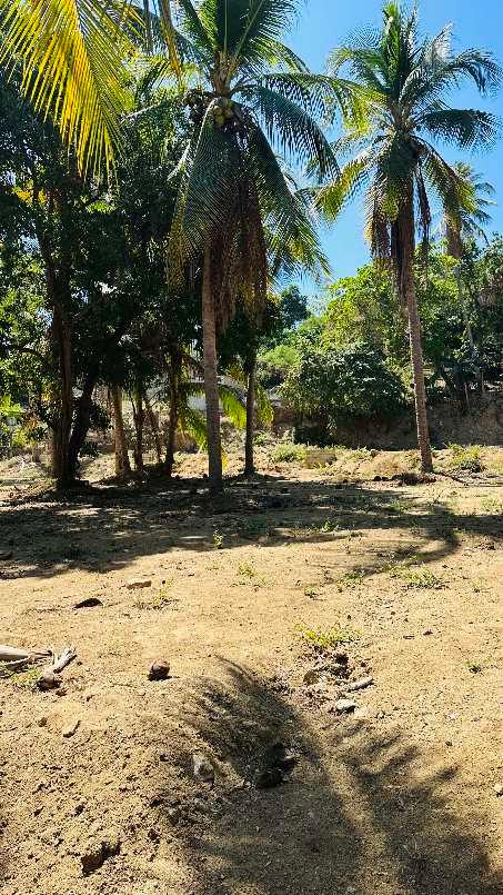 C Porfirio D?az, San Pedro Mixtepec -Dto. 22 -, Oaxaca, 71984, Mexico, 1 Bedroom Bedrooms, ,Residential,For Sale,C Porfirio D?az,1460888