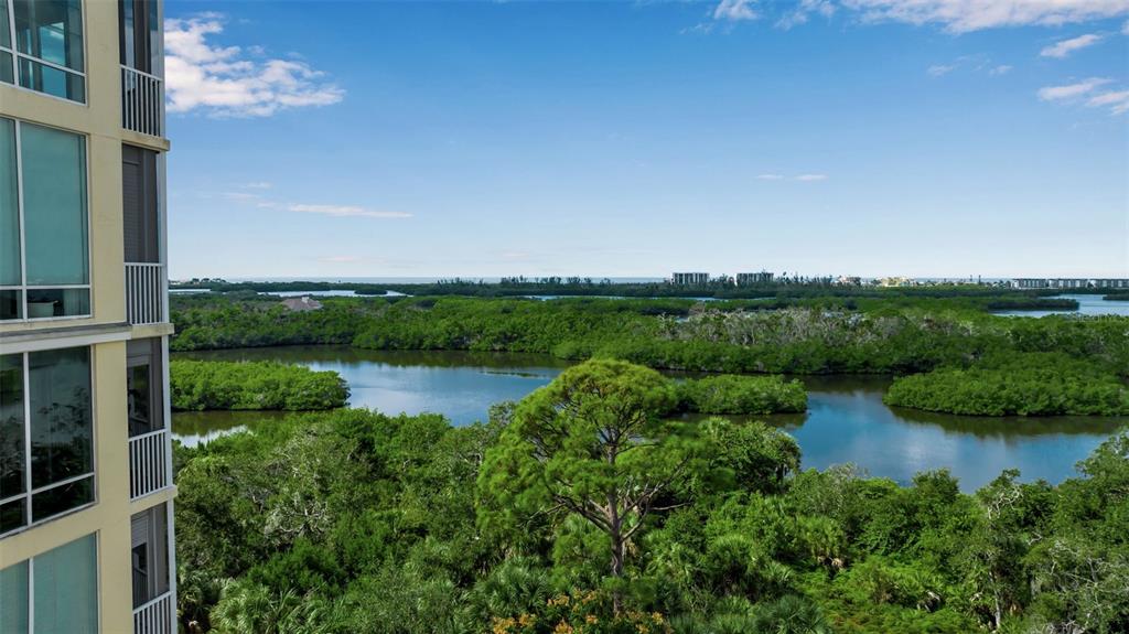 Osprey, Florida, 34229, United States, 3 Bedrooms Bedrooms, ,3 BathroomsBathrooms,Residential,For Sale,1992079