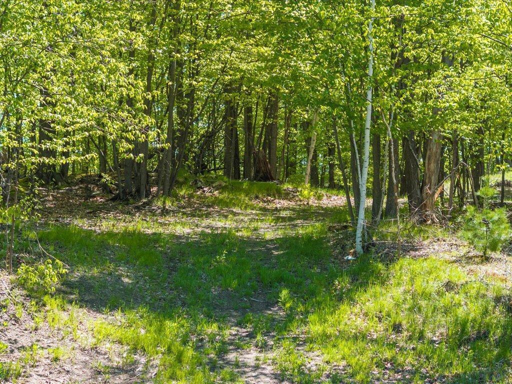 Cohasset, Minnesota, 55721, United States, ,Land,For Sale,1850344