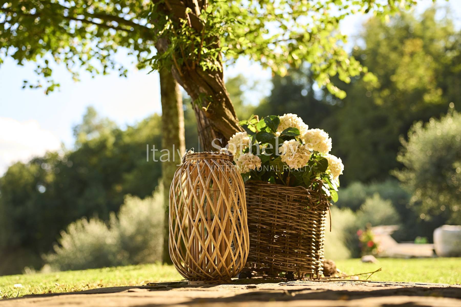  Authentic estate in the tuscan countryside - 物件實景