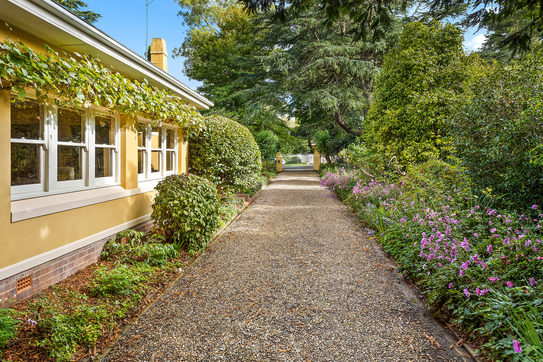  Redwood - 物件實景