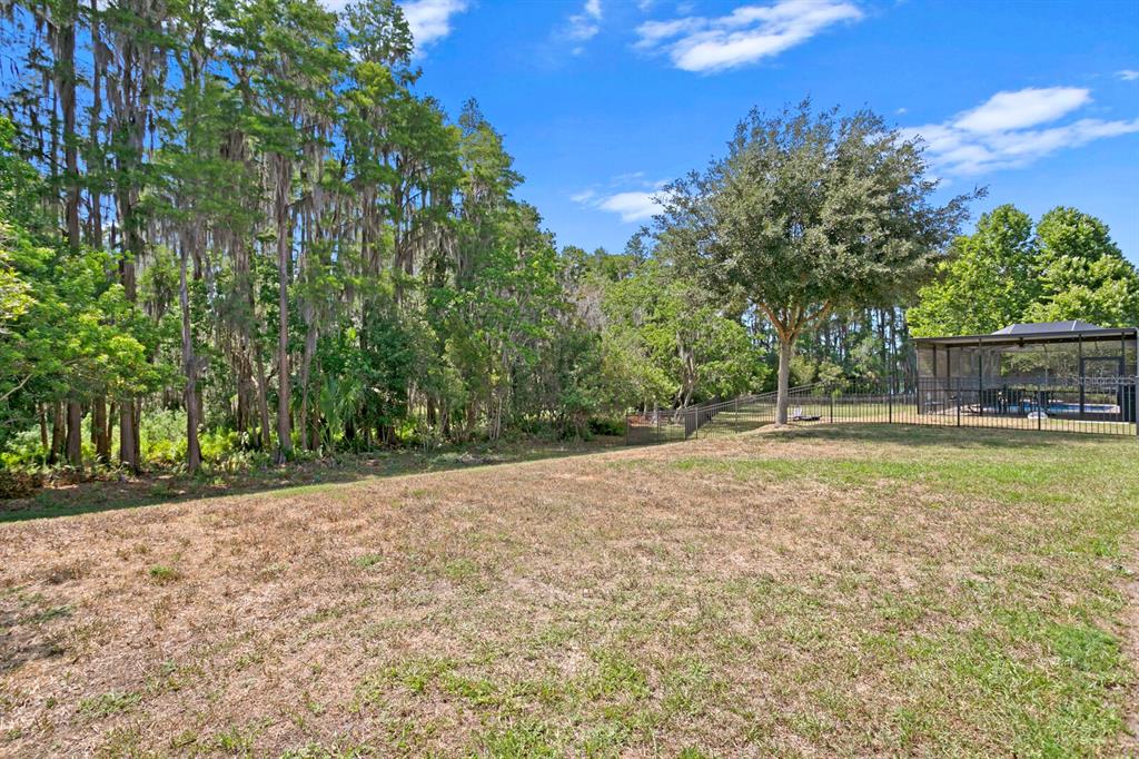 Lutz, Florida, 33558, United States, 4 Bedrooms Bedrooms, ,2 BathroomsBathrooms,Residential,For Sale,1760226
