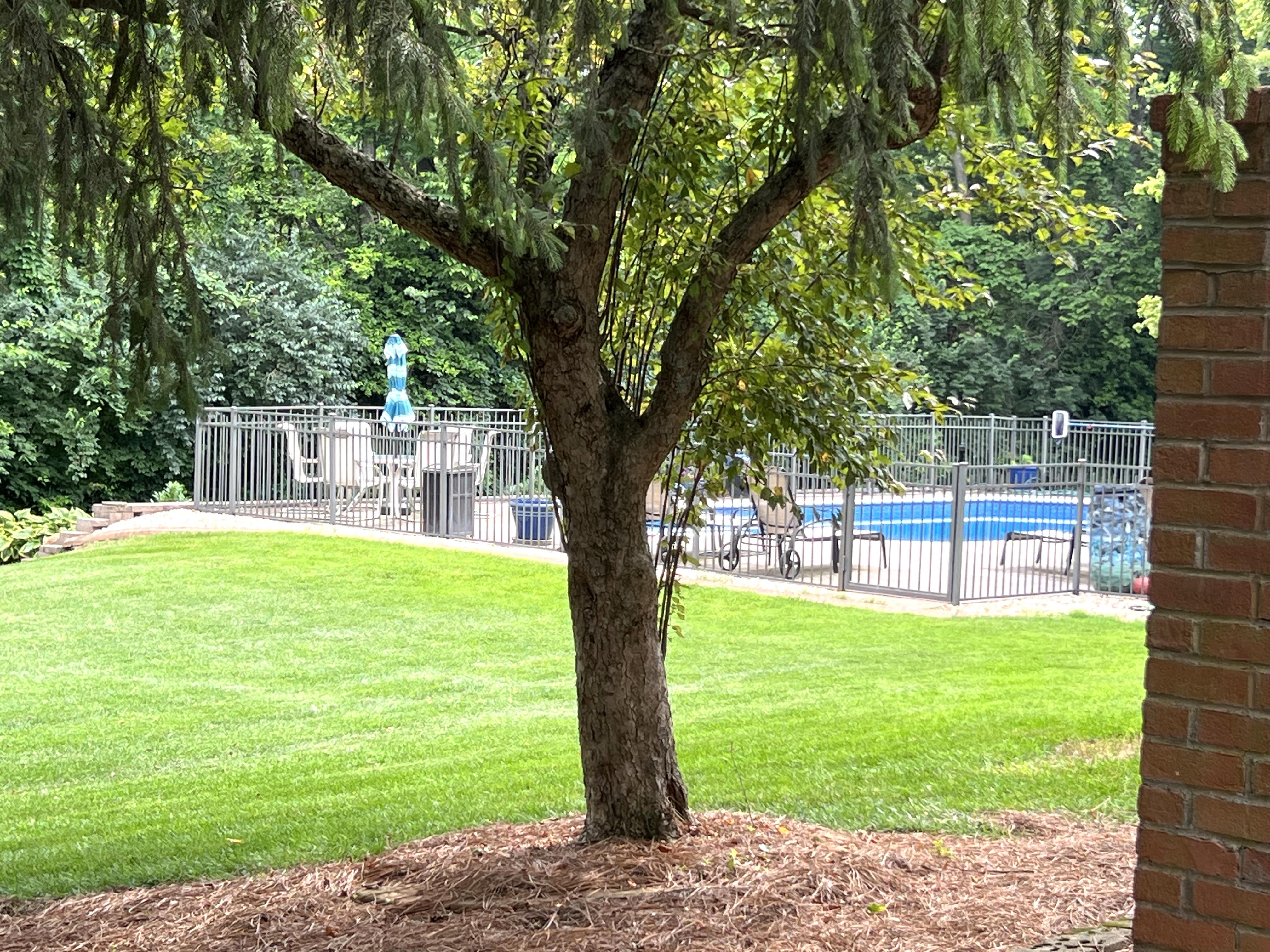 Frankfort, Kentucky, 40601, United States, 5 Bedrooms Bedrooms, ,4 BathroomsBathrooms,Residential,For Sale,1983551