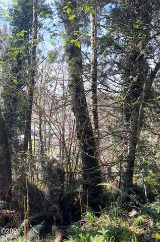 Pacific City, Oregon, 97135, United States, ,Land,For Sale,1977303