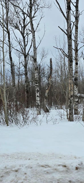 Sault Ste Marie, Michigan, 49783, United States, ,Land,For Sale,1977919