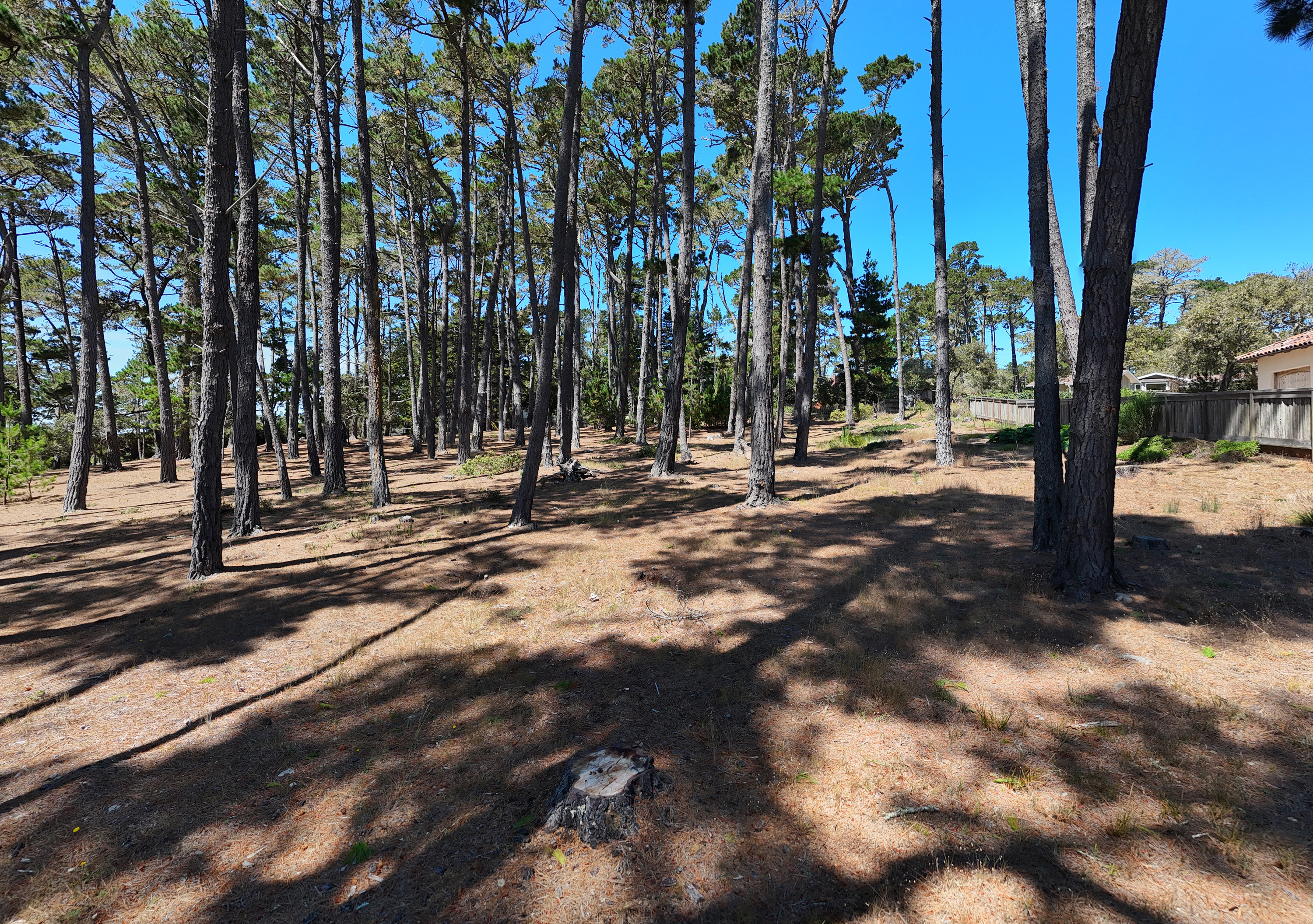  4045 Sunridge Road - 物件實景